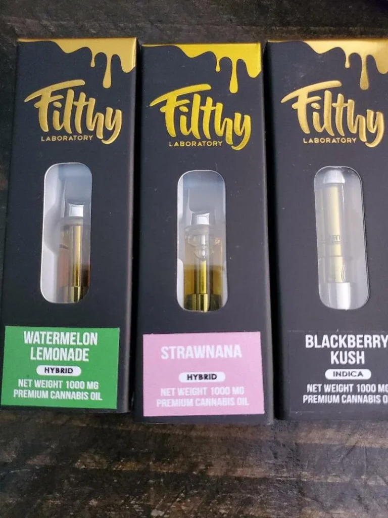 Filthy Disposable